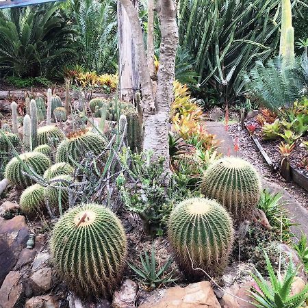 Ancient Gardens Guesthouse & Botanical Gardens Eudlo Eksteriør bilde