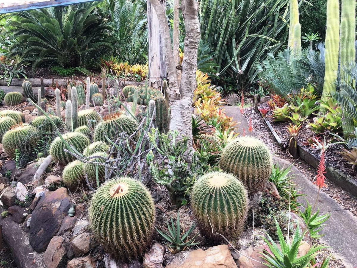 Ancient Gardens Guesthouse & Botanical Gardens Eudlo Eksteriør bilde